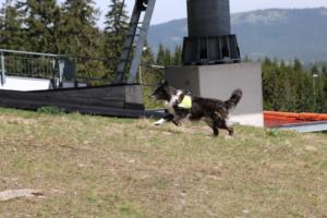 2018 Ausbildungswoche Arber